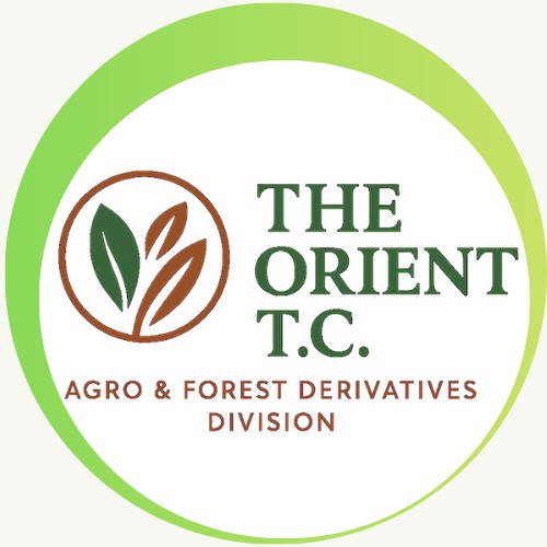 The Orient T.C